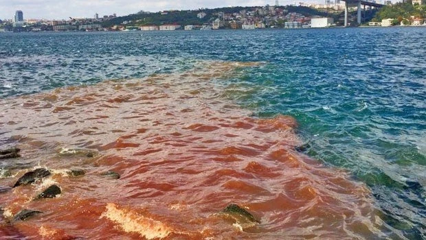 Όταν ο Βόσπορος «βάφεται» με αίμα (βίντεο)